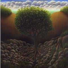 Tree in Rocks 4