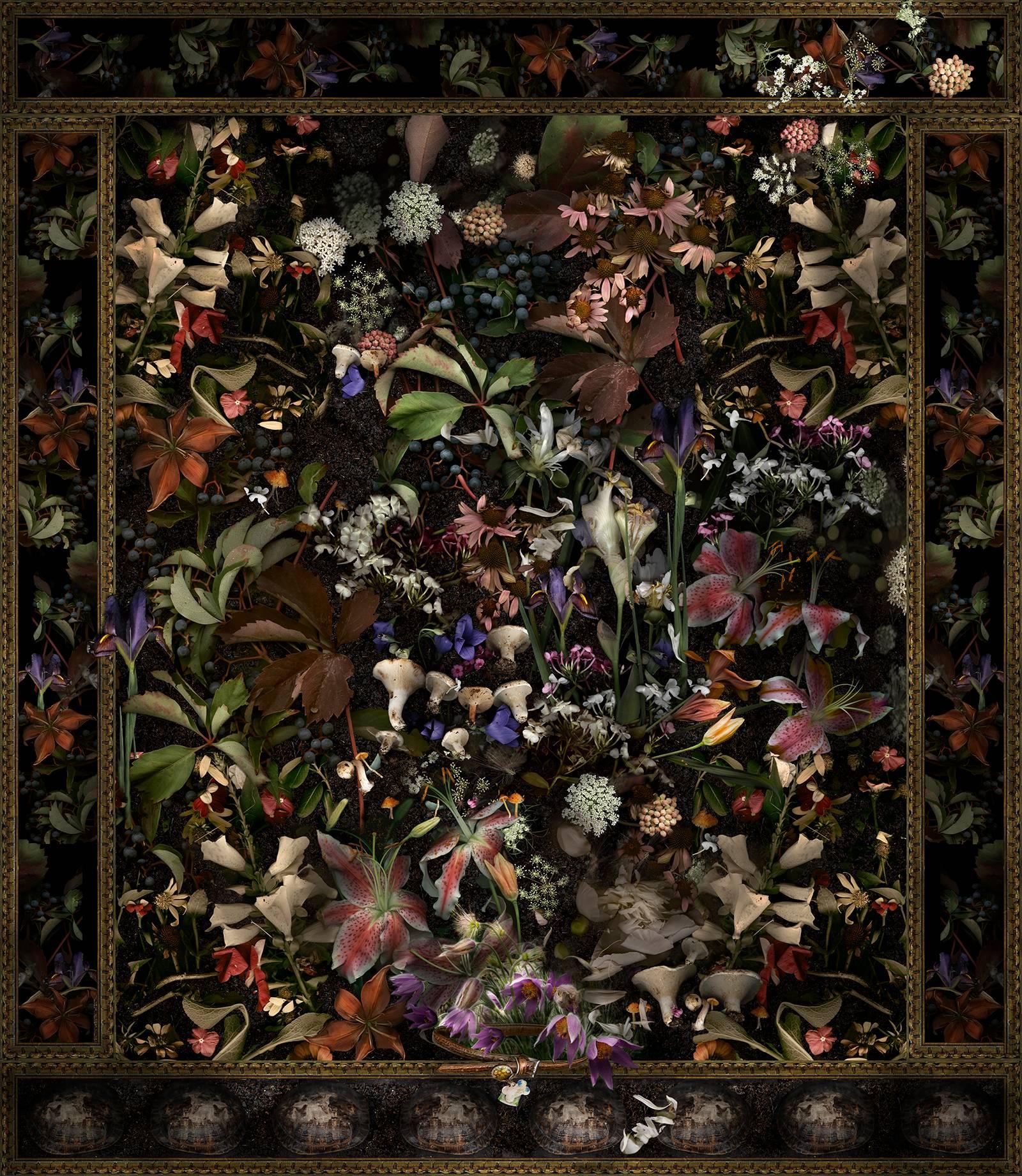 Color Photograph Lisa A. Frank - Scout A, très bon chien : Impression numérique de natures mortes florales de style baroque moderne
