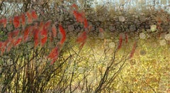 Stained Silk (Willow Moss) : Floral Abstract Photograph on Handmade Paper