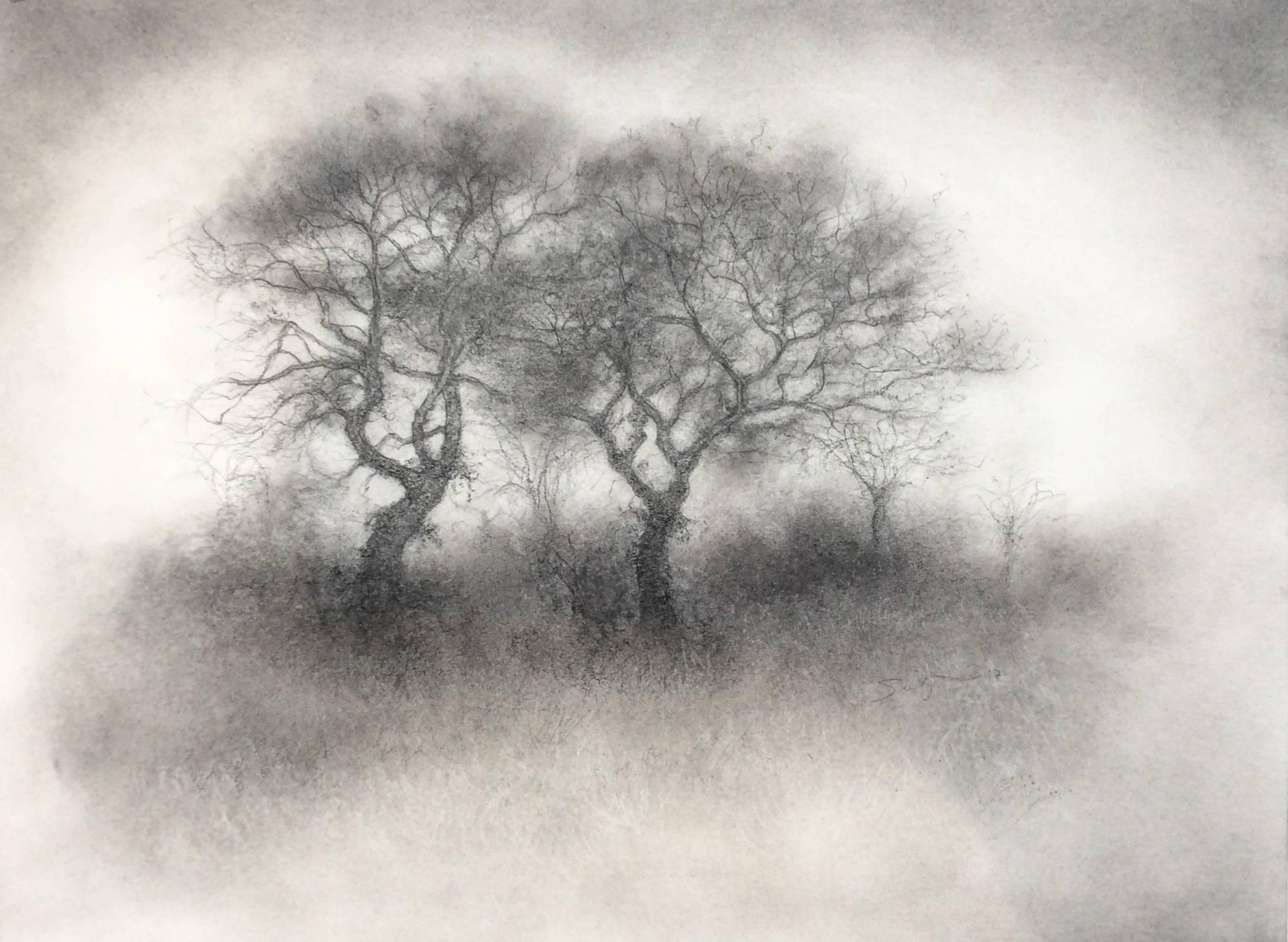 Sue Bryan Landscape Art - Two Trees (Contemporary Realistic Landscape Drawing in Black Charcoal)
