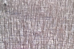 Bosques entretejidos cerca de Zurich, NY (Fotografía aérea digital de archivo)