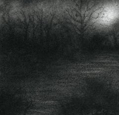 Nocturne VI (Disegno realistico moderno a carboncino di un paesaggio forestale al chiaro di luna)