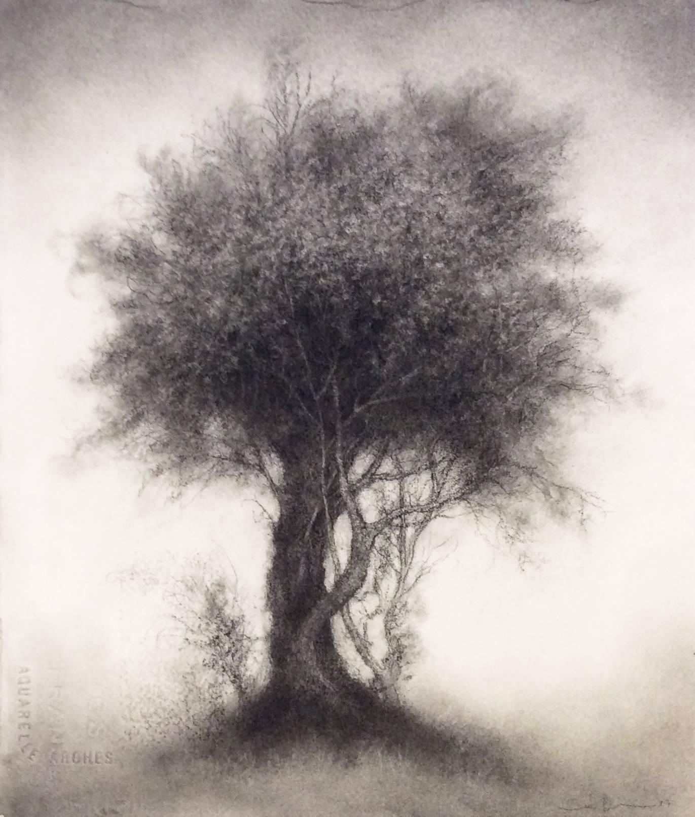 Sue Bryan Landscape Art - Rare Bird (Contemporary Vertical Black Charcoal Drawing of a Single Tree)