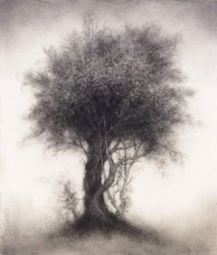 Rare Bird (Contemporary Vertical Black Charcoal Drawing of a Single Tree)