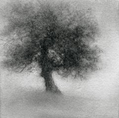 Minikin III (Modern, Small Realistic Tree Drawing on Square Wood Panel)