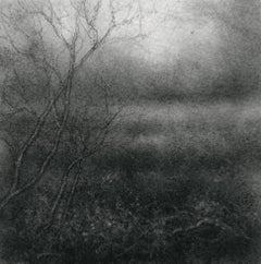 Used Edgeland L (Small Contemporary Realistic Landscape of Forest in Black Charcoal)