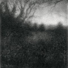 Edgeland XLIX (Disegno di paesaggio quadrato moderno e realistico di Forest in Black)