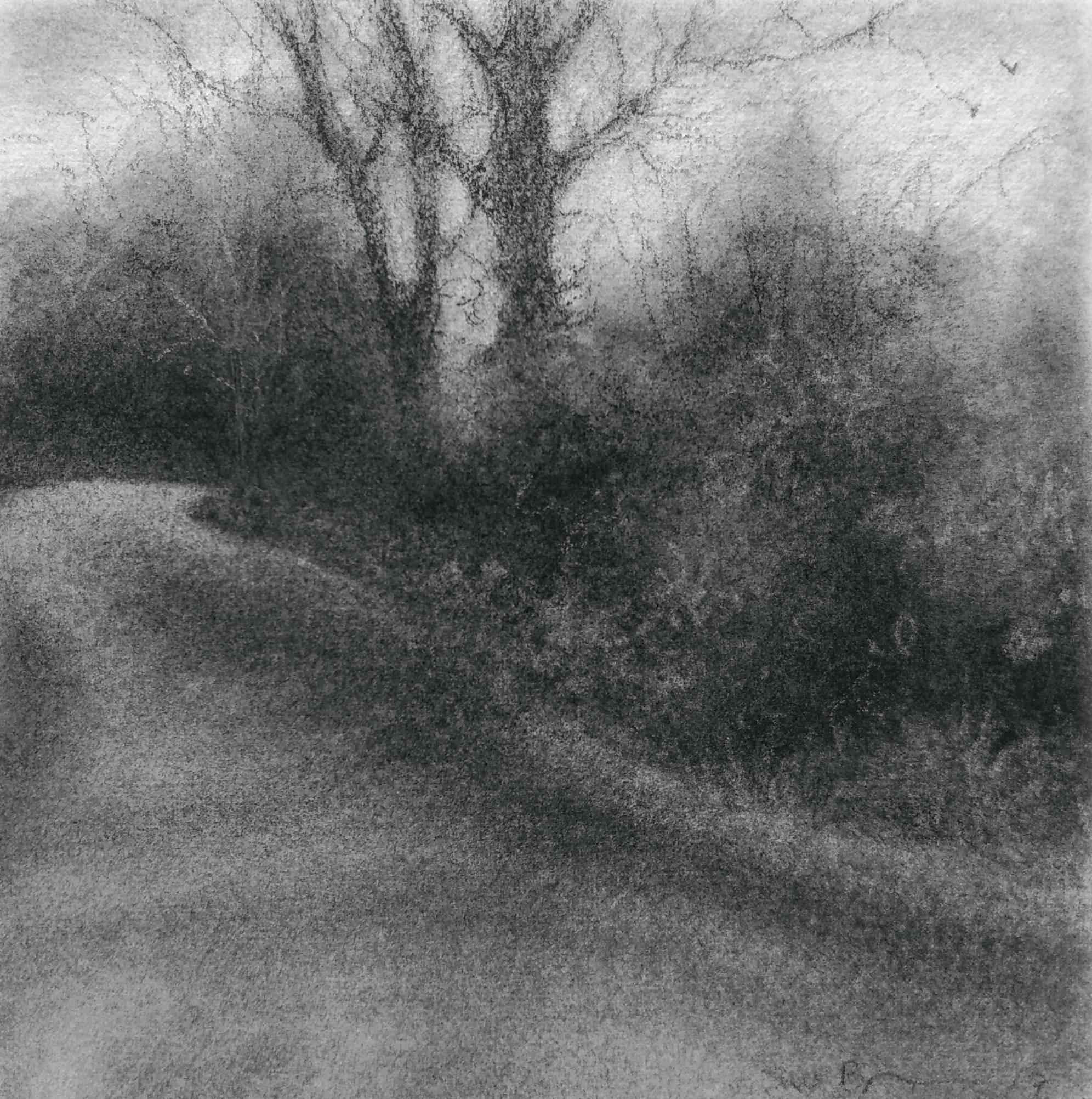 Sue Bryan Landscape Art - Edgeland XLVII (Modern, Square Charcoal Landscape Drawing of Country Road)