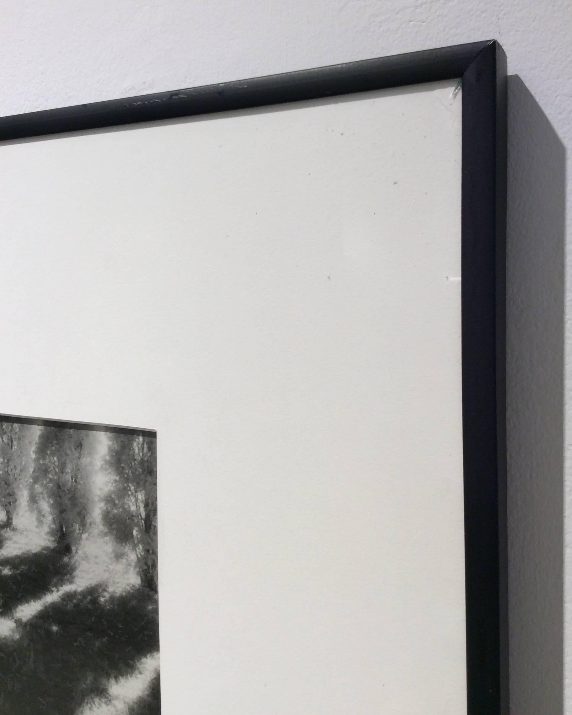 Raumteiler (gerahmter Infrared Silver Gelatin-Druck, Landschaft) 2