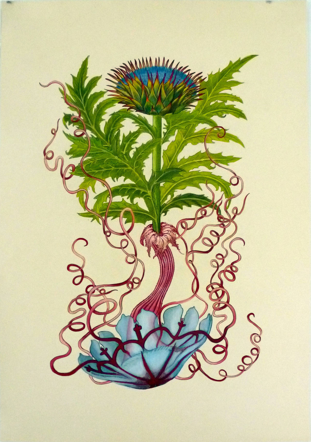 Ellen Nieves Figurative Art - Botanical in Jellyfish