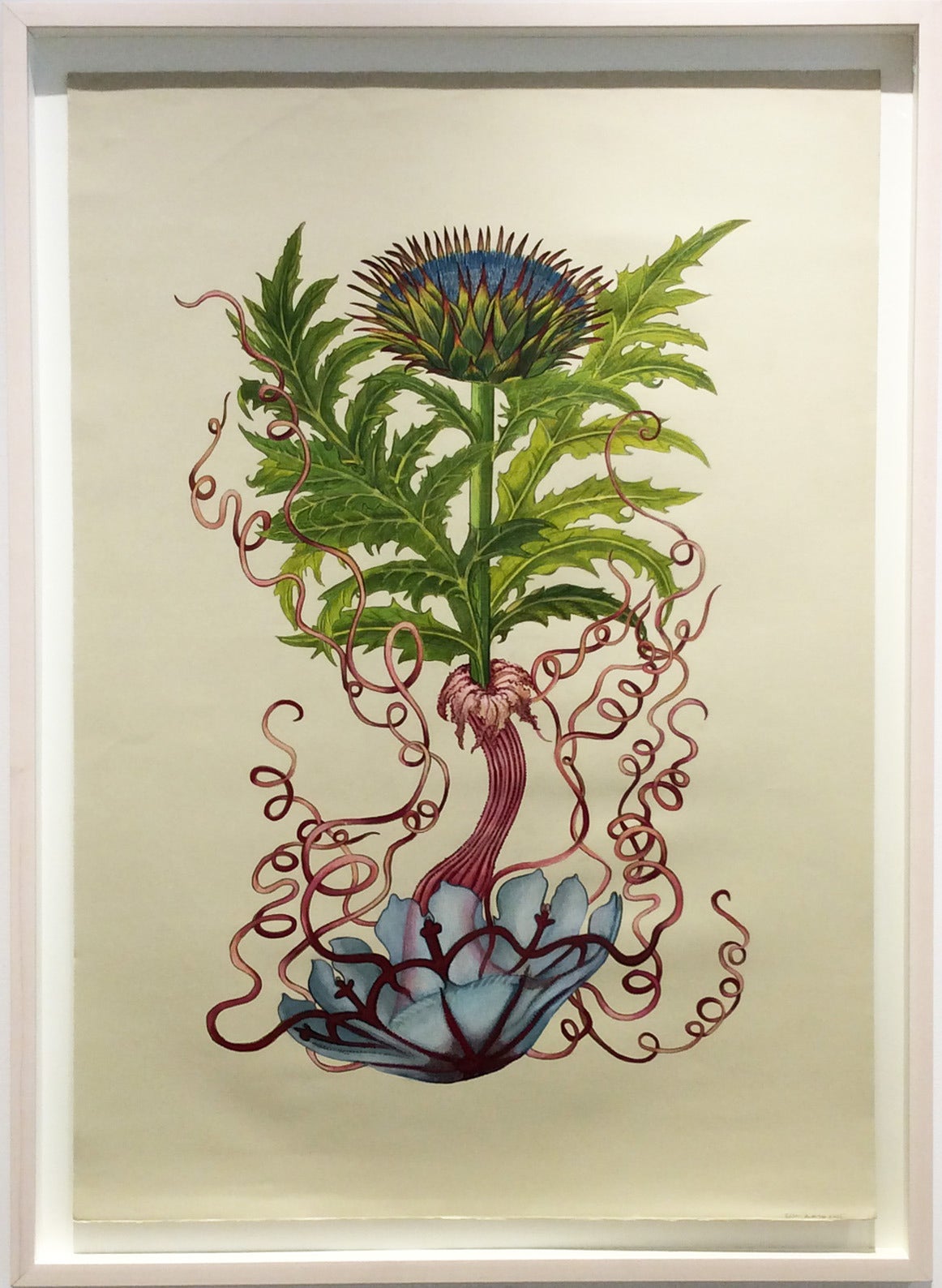 Botanical in Jellyfish - Art by Ellen Nieves