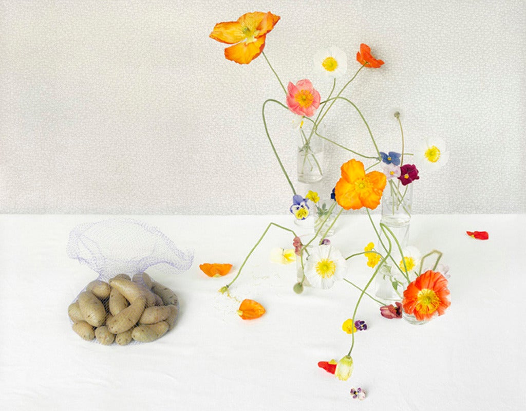 Still-Life Photograph David Halliday - Coquelicots et pommes de terre (Nature morte de fleurs et de légumes sur fond blanc)