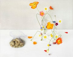 Coquelicots et pommes de terre (Nature morte de fleurs et de légumes sur fond blanc)