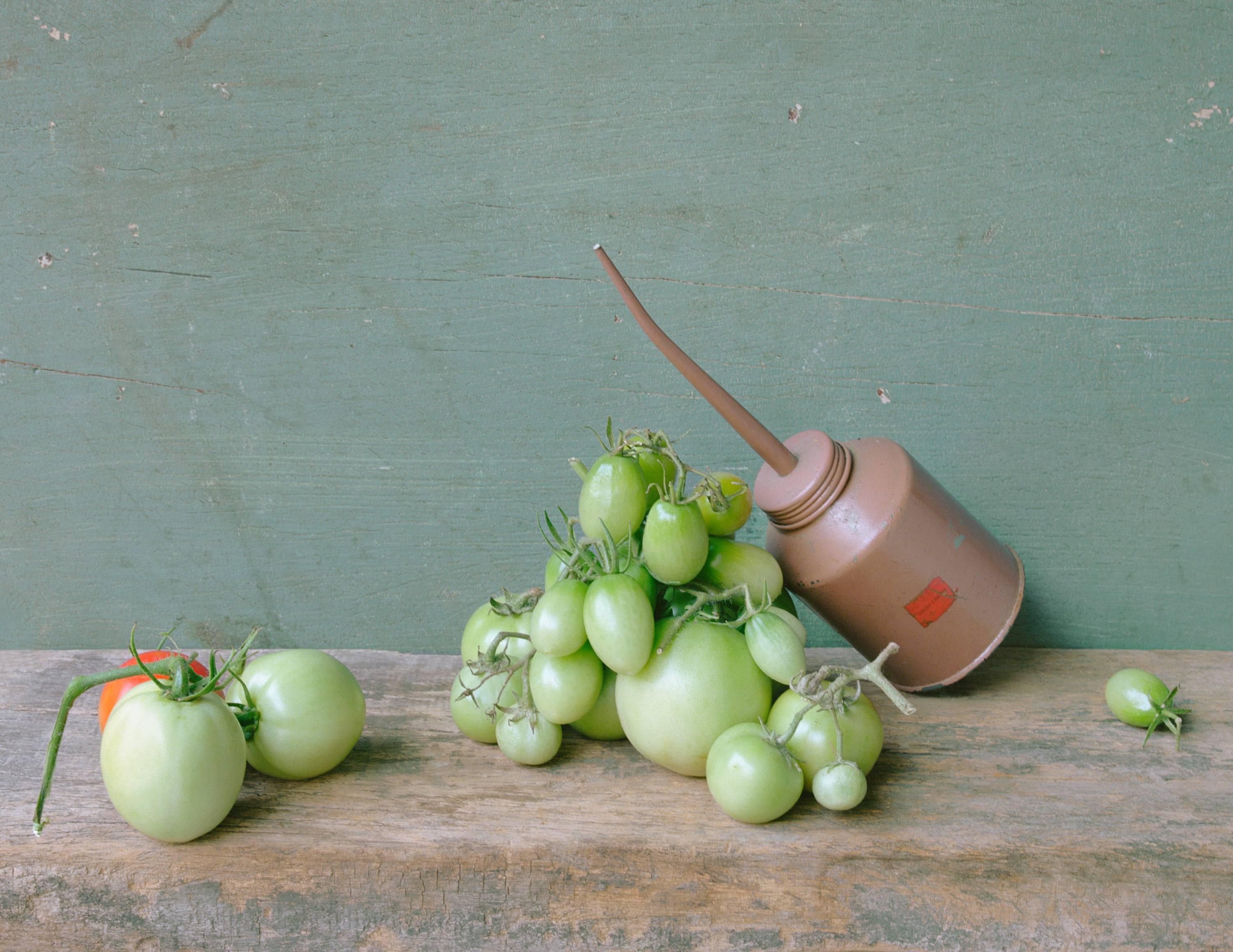 David Halliday Color Photograph - Green Tomatoes & Oil Can: Modern Still Life Photograph of Food & Objects, Framed