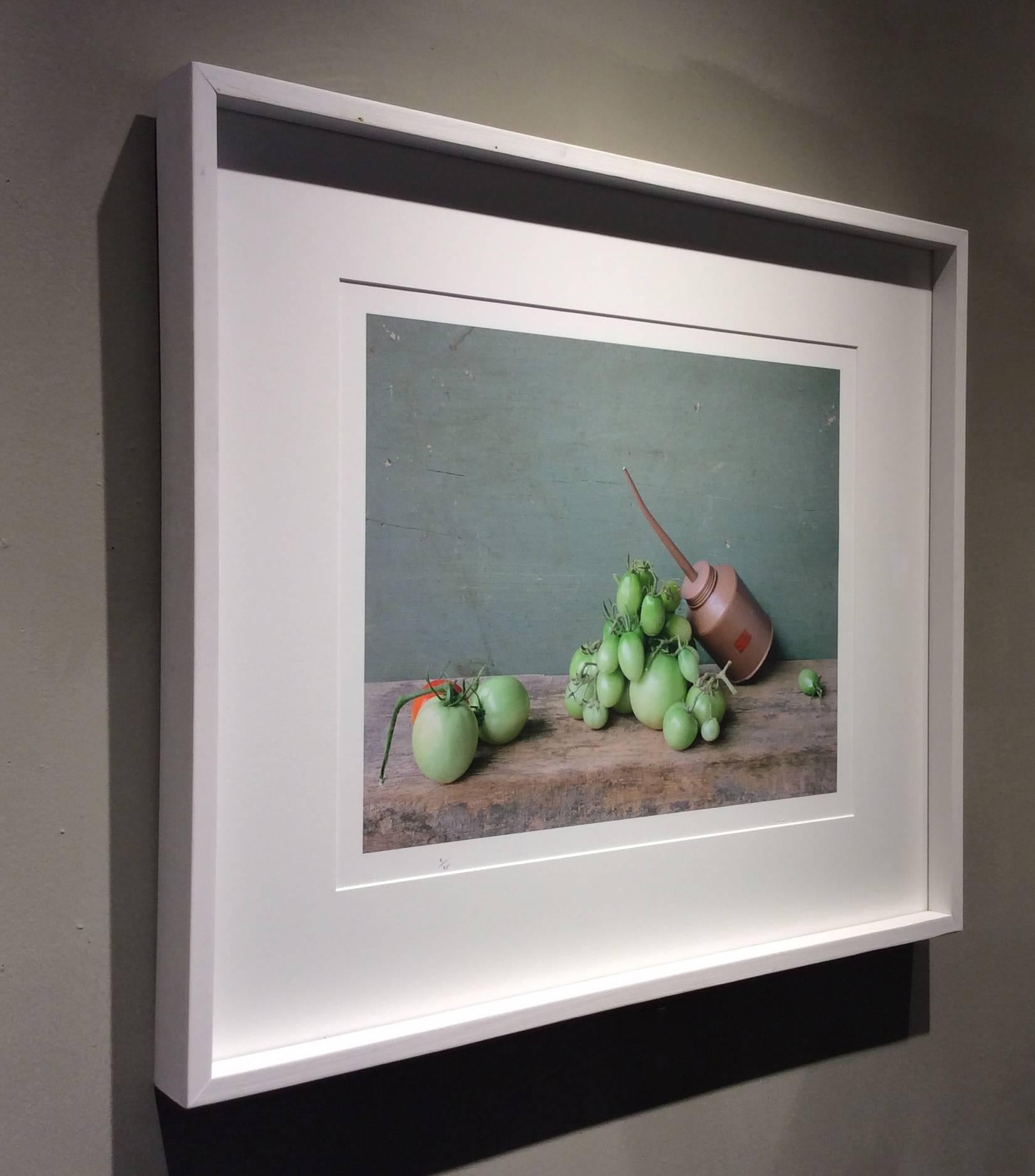 Green Tomatoes & Oil Can: Modern Still Life Photograph of Food & Objects, Framed - Gray Color Photograph by David Halliday