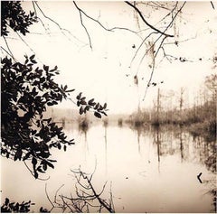 Mirrored Lake (Sepia tone Landscape Photograph taken in Louisana)