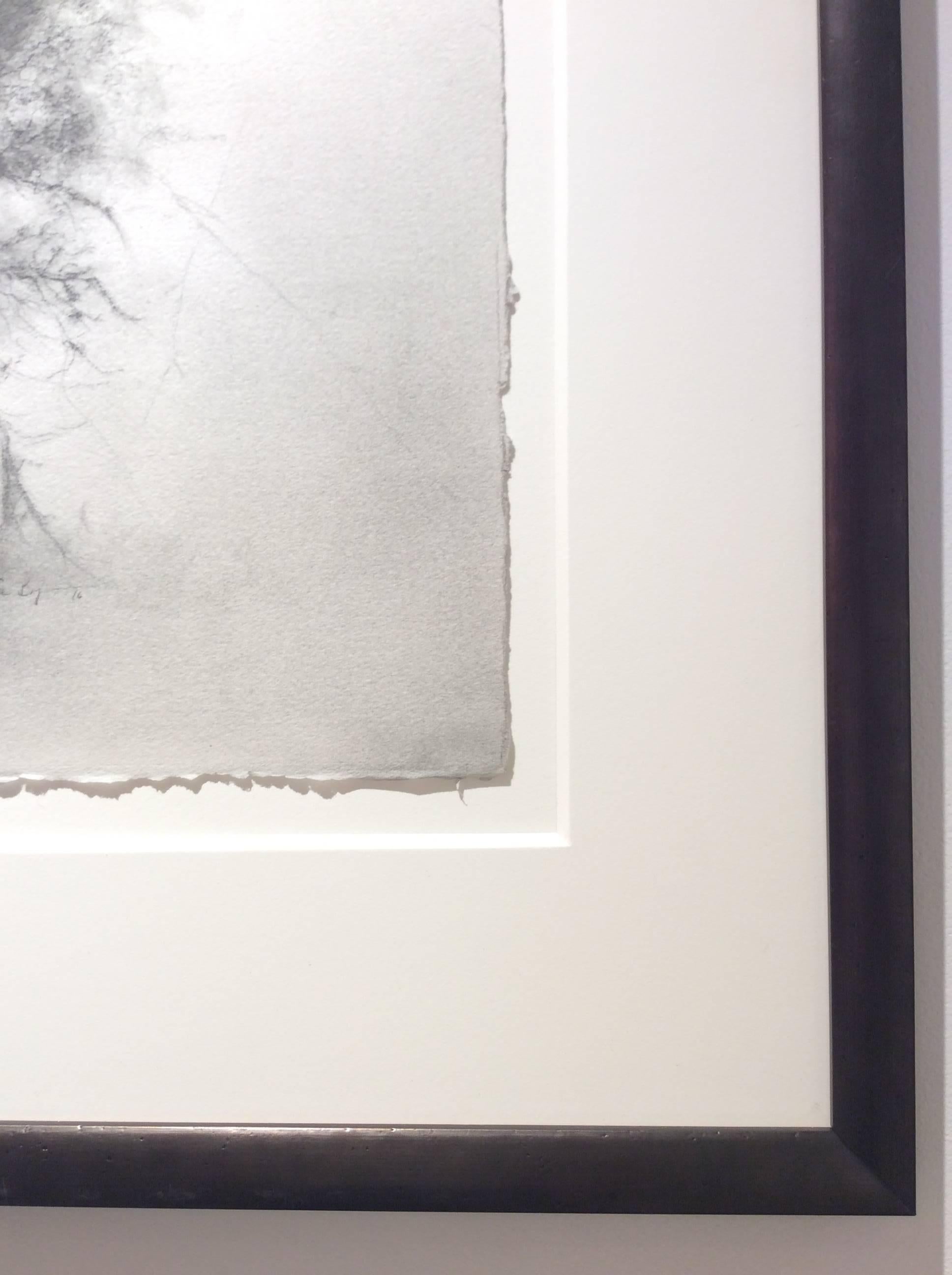charcoal drawings of trees