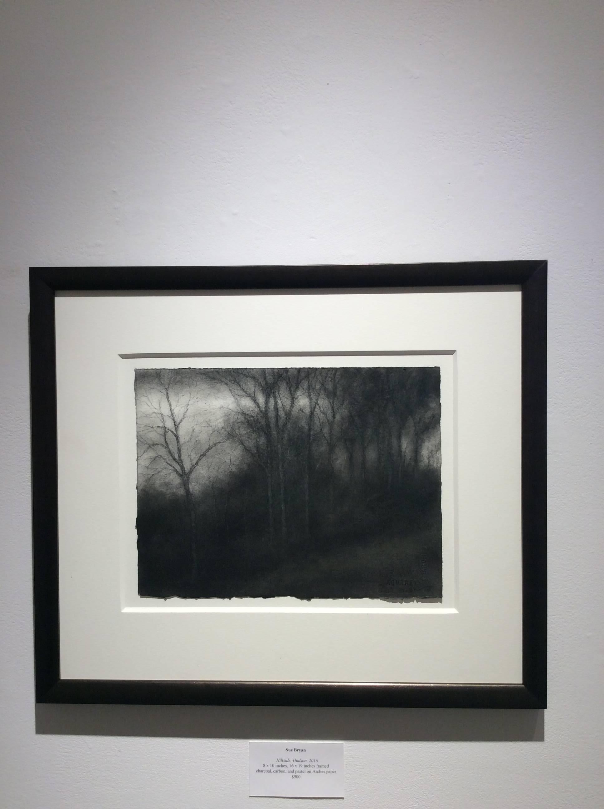 charcoal drawing forest