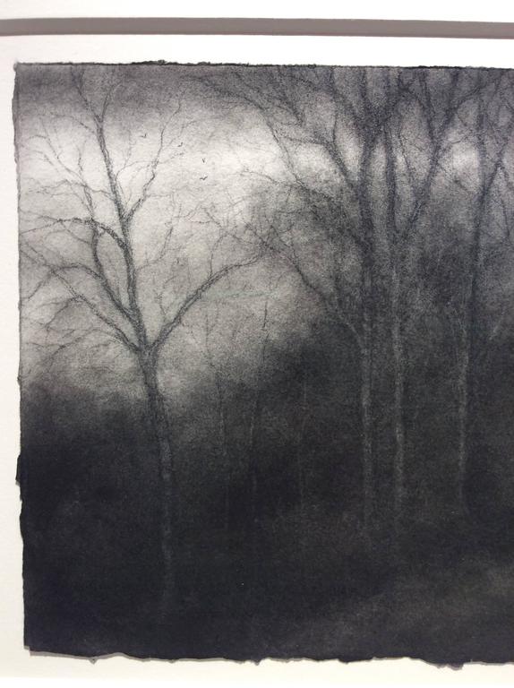 Hillside, Hudson (Realistic Charcoal Landscape Drawing of Trees in a Forest) - Modern Art by Sue Bryan