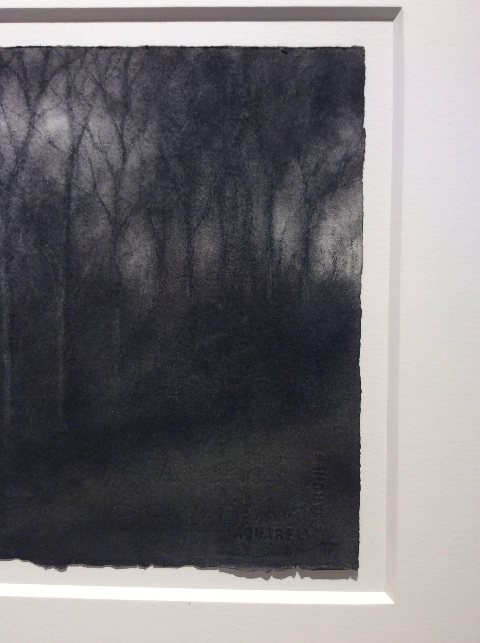 Hillside, Hudson ( Realistische Holzkohle-Landschaftszeichnung von Bäumen in einem Wald) (Schwarz), Landscape Art, von Sue Bryan