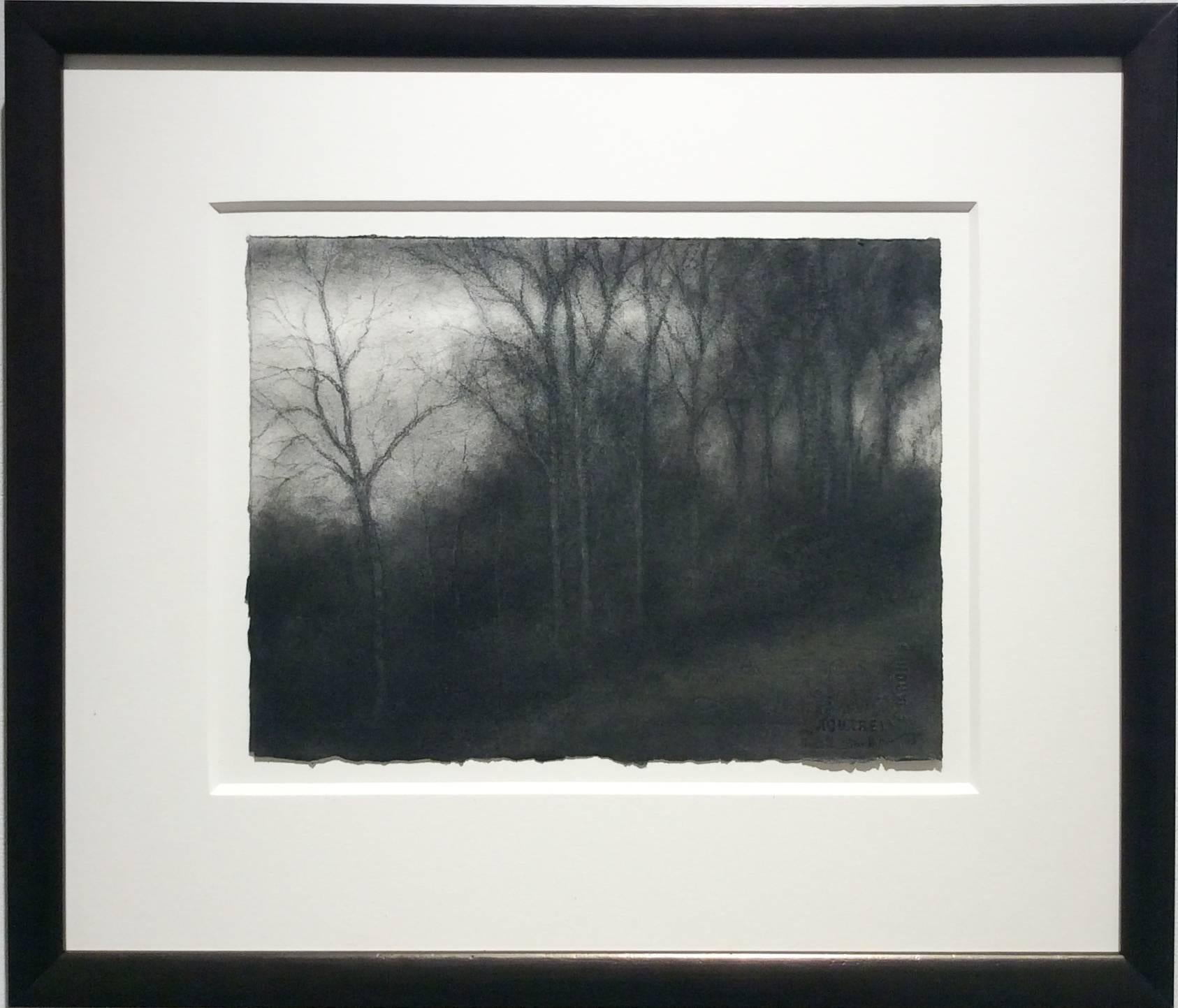 Hillside, Hudson (Realistic Charcoal Landscape Drawing of Trees in a Forest) - Art by Sue Bryan