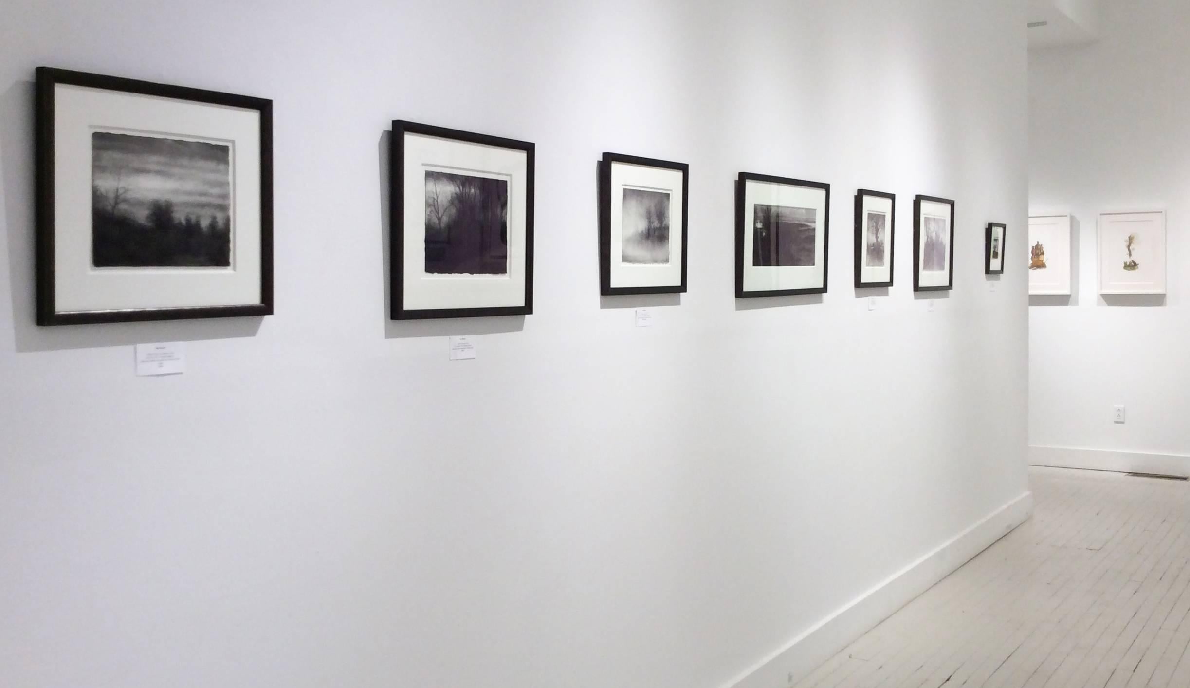 Hillside, Hudson (Realistic Charcoal Landscape Drawing of Trees in a Forest) - Black Landscape Art by Sue Bryan