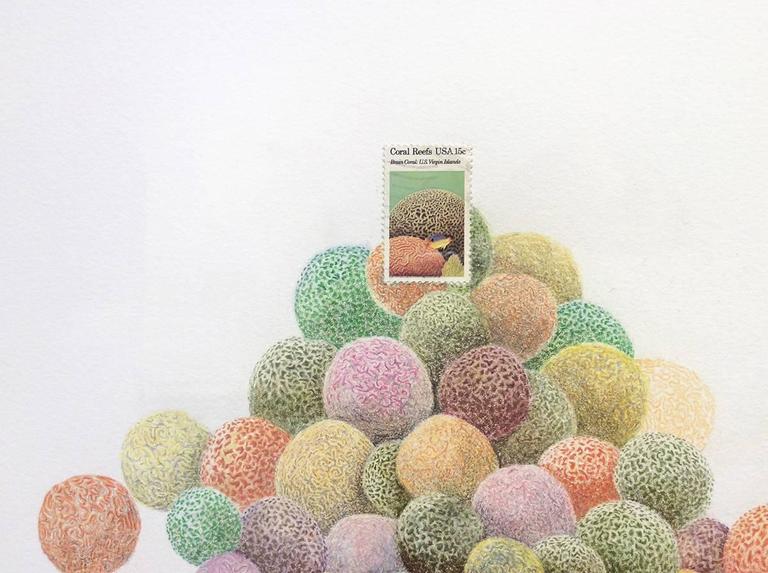 Andrea Moreau USA, Brain Coral (Pastel Colored Pencil Drawing of