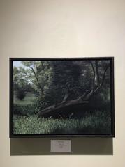 Fallen (Modern Realistic Landscape Oil Painting on Panel of Tree in Green Grass)