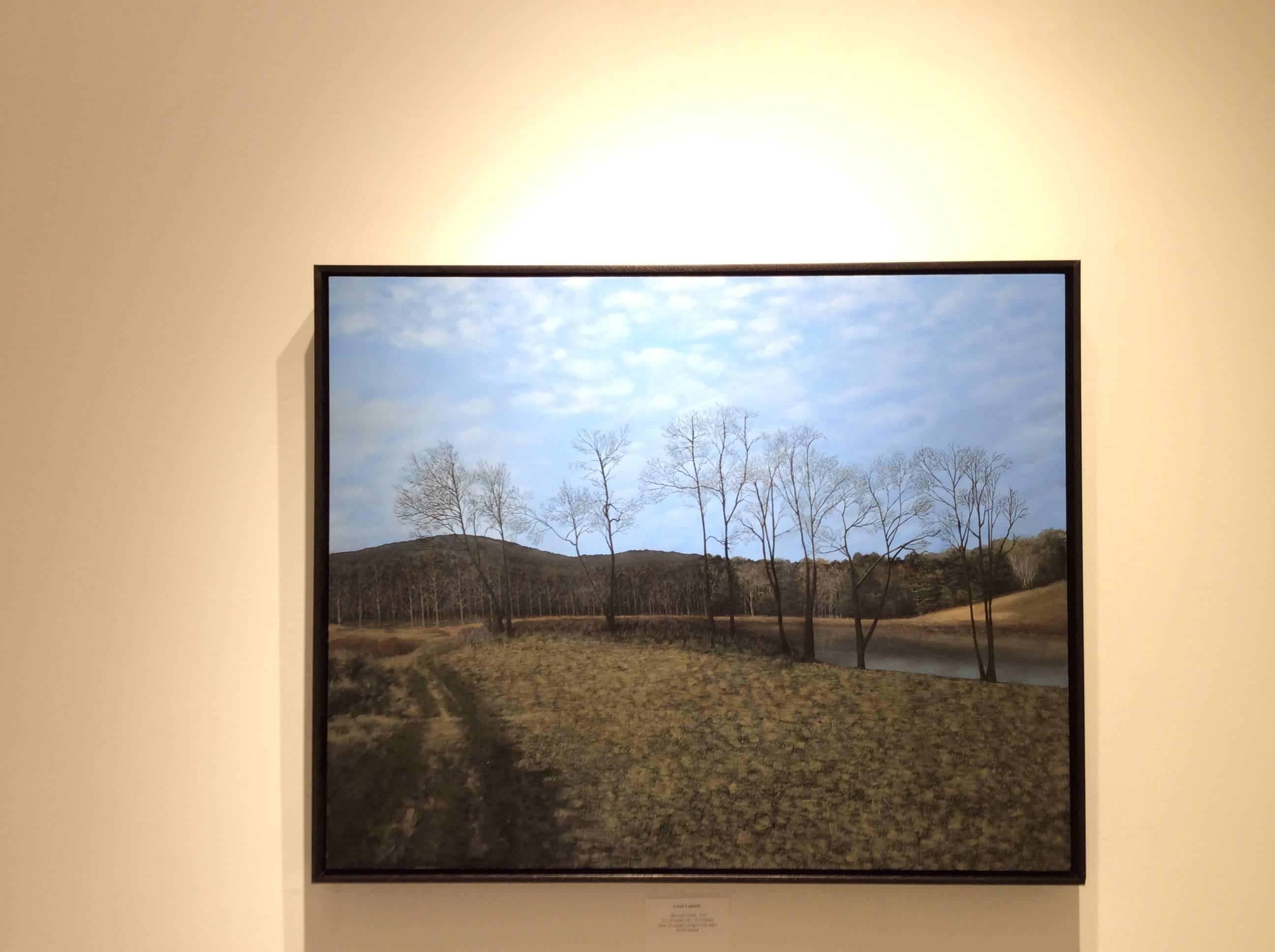 field pond landscape