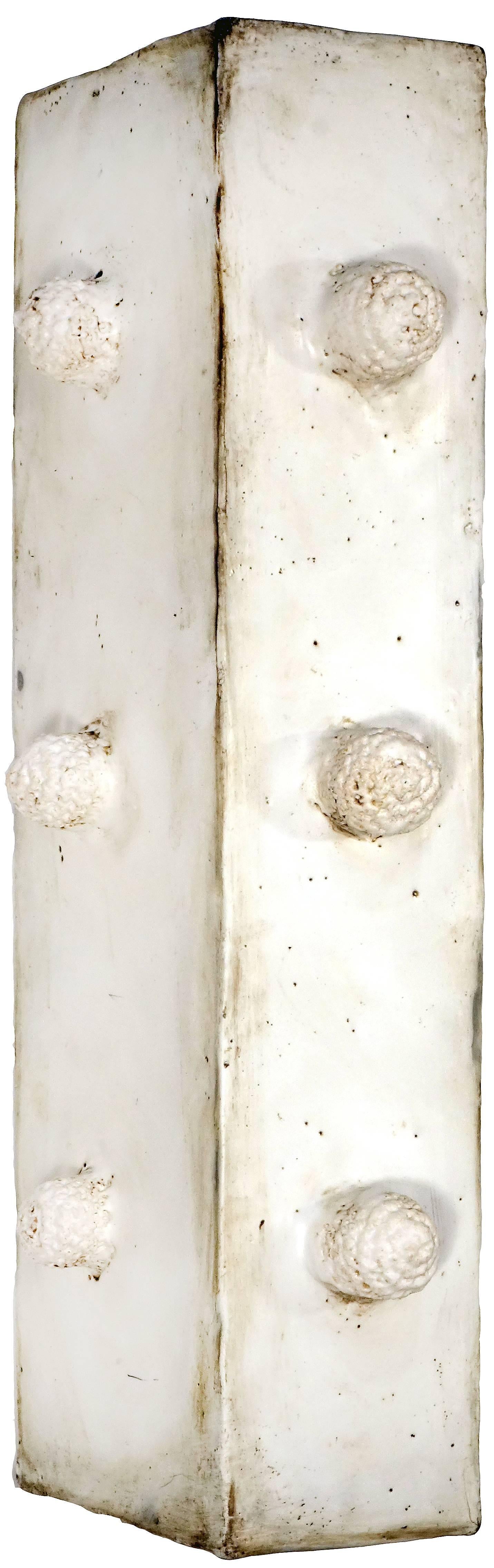 Vertical wood panel layered with white encaustic. The panel is detailed with three fiber balls on each side which are also layered in white encaustic. Measures 13 x 4 x 5 inches

This unique, abstract mixed media three dimensional wall sculpture