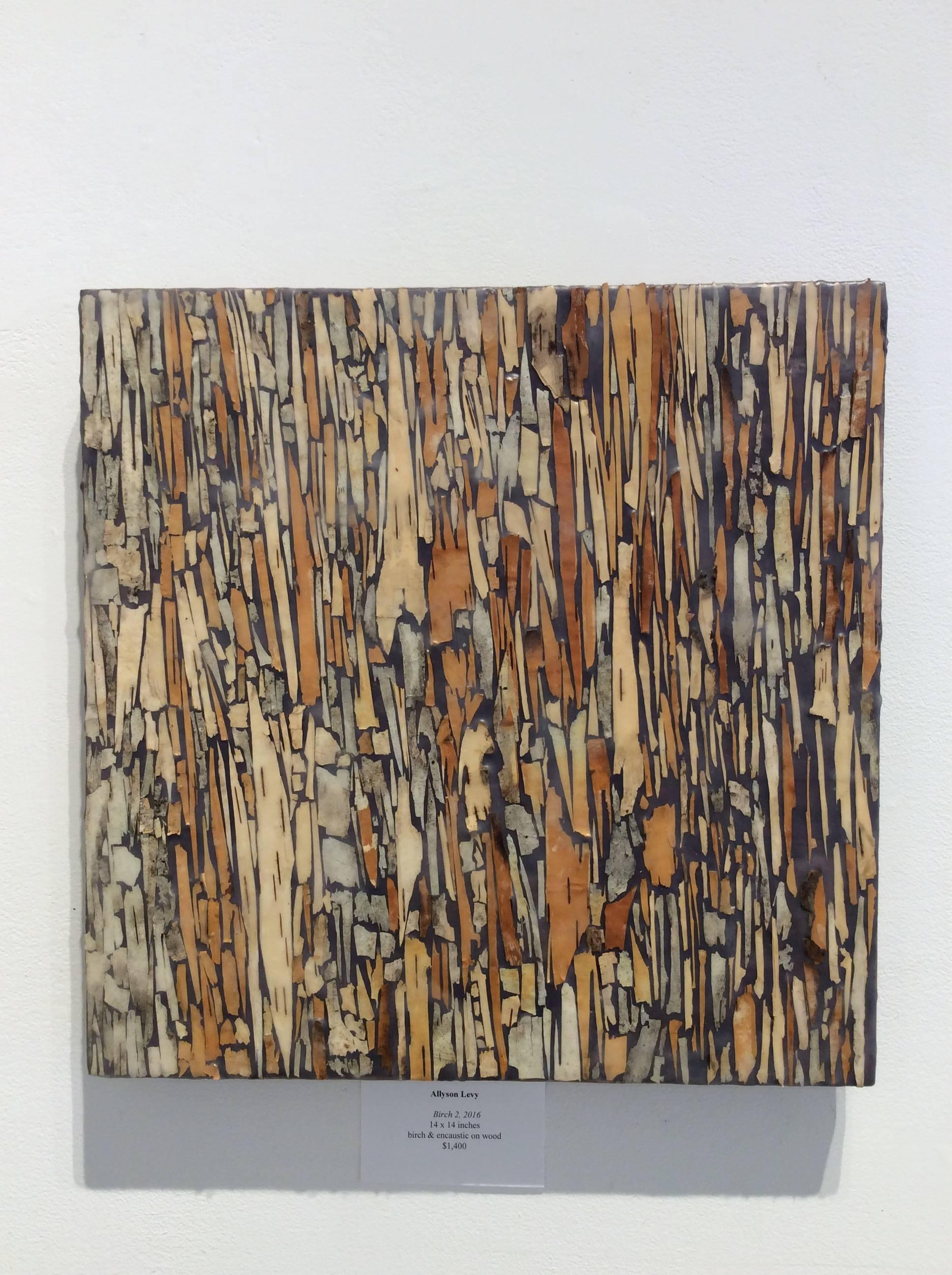Birch 2 (peinture à l'encaustique grise avec écorce de bouleau marron sur panneau de bois) - Painting de Allyson Levy