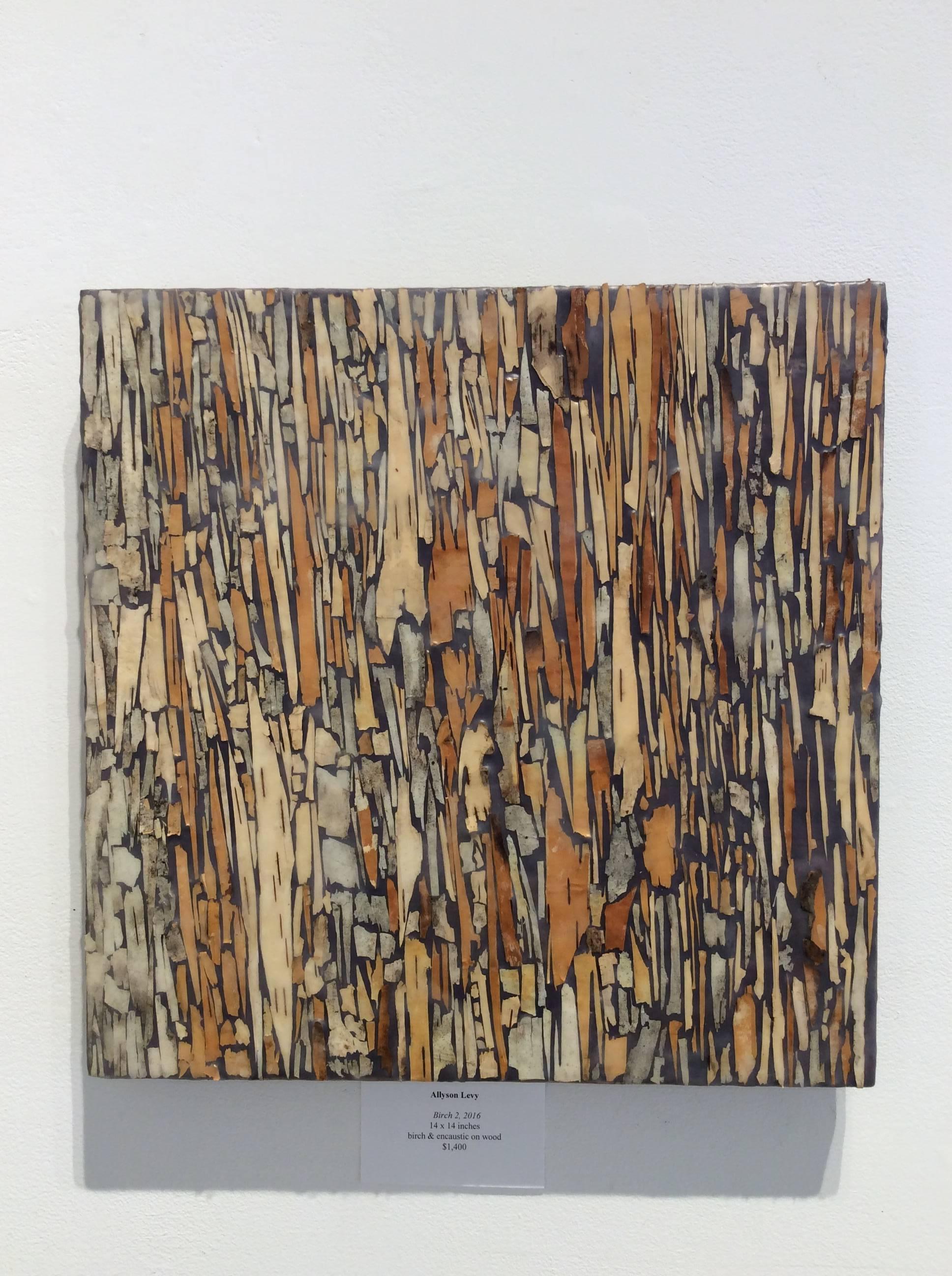 Betulla 2 (pittura grafica a encausto con corteccia di betulla marrone su pannello di Wood) - Painting di Allyson Levy