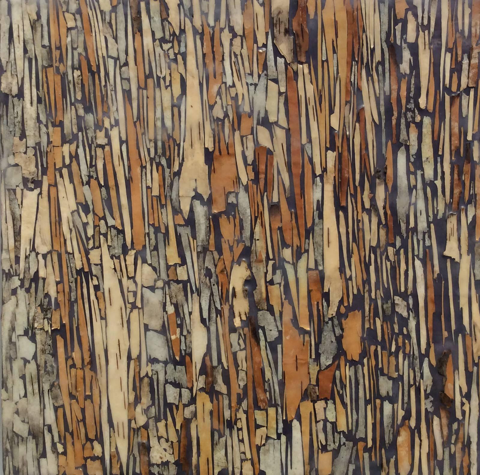 Birch 2 (Graphic Encaustic Painting with Brown Birch Bark on Wood Panel)