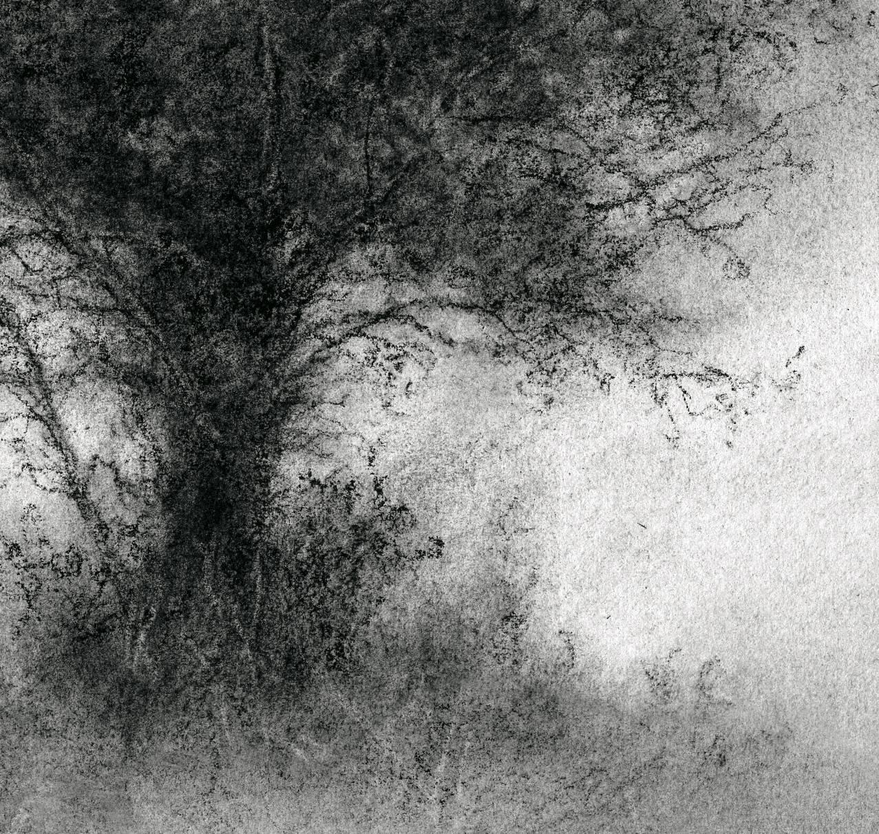 Elsewhere (Small Contemporary Charcoal Landscape Drawing of a Single Tree) - Art by Sue Bryan