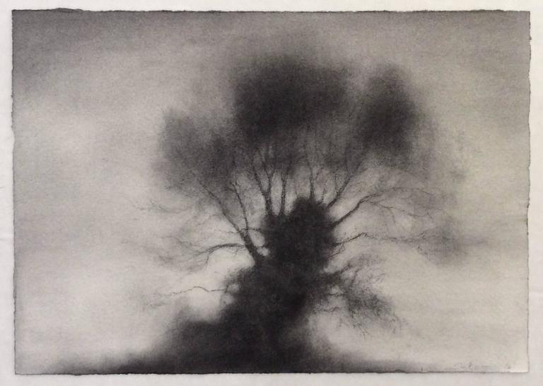Kernel (Realist Black & White Charcoal Drawing of Large, Single Standing Tree) - Art by Sue Bryan