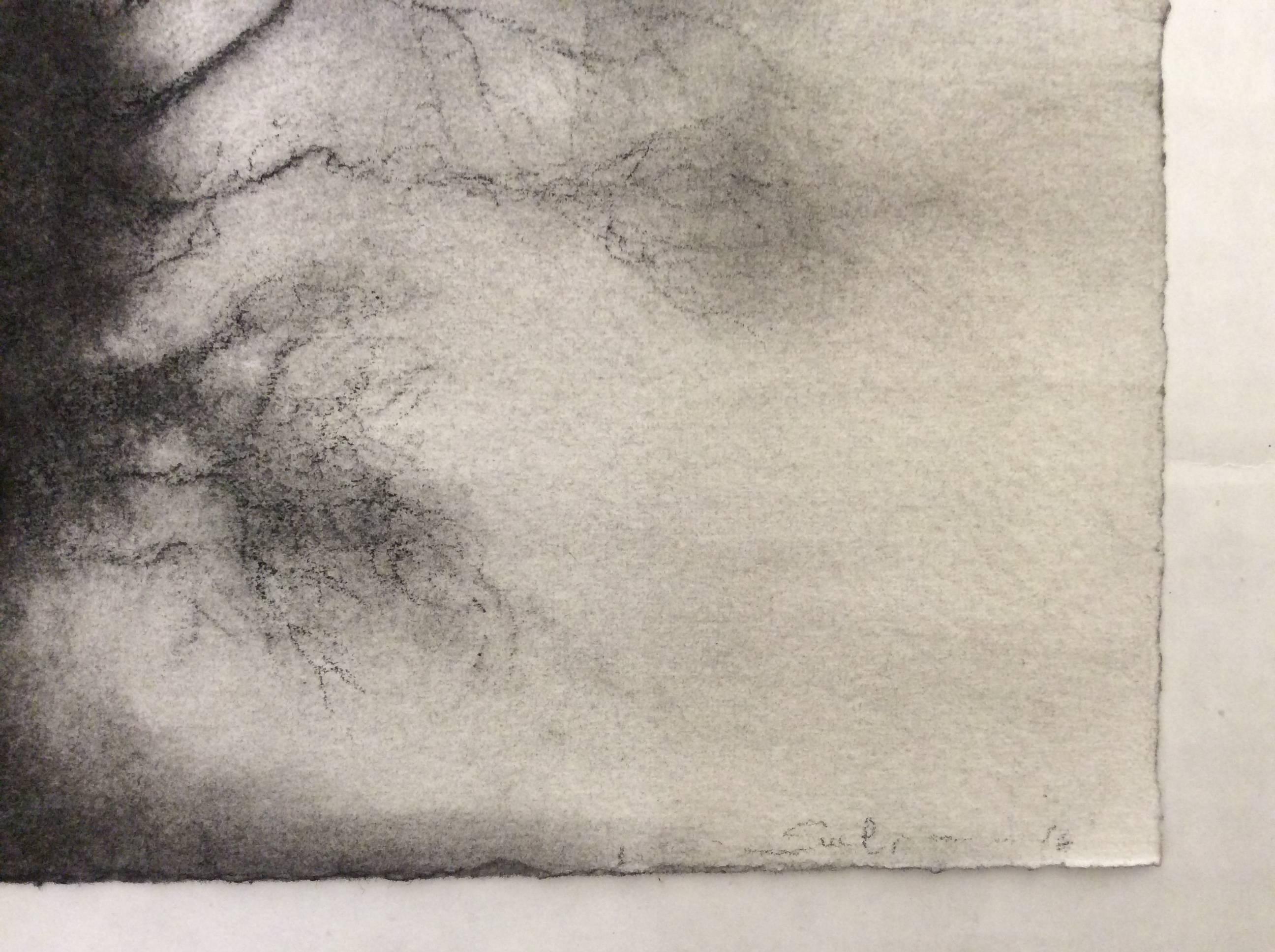 Kernel (Realistische schwarz-weiße Holzkohlezeichnung eines großen, einzelnen stehenden Baumes) (Moderne), Art, von Sue Bryan