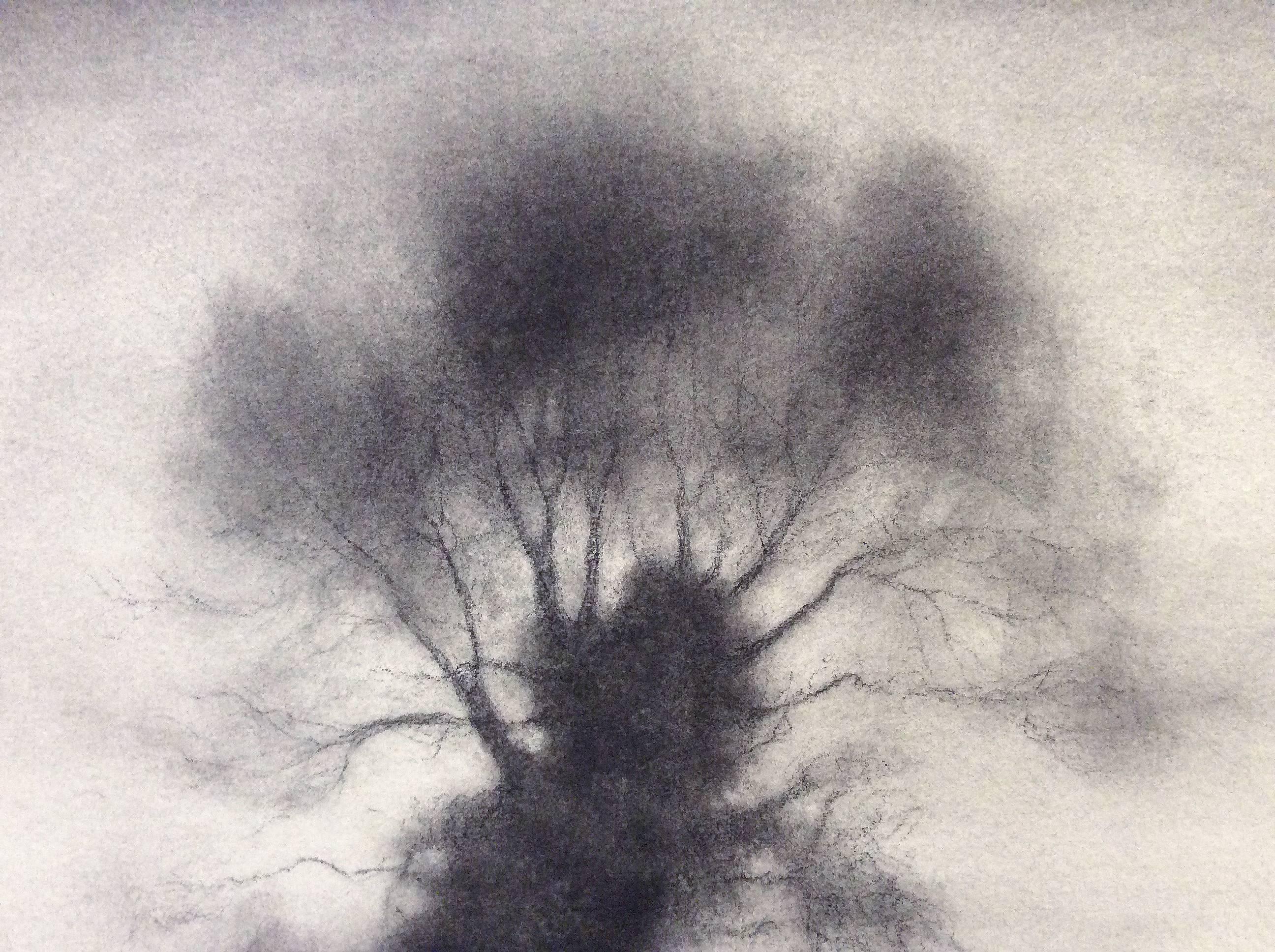 Kernel (Realistische schwarz-weiße Holzkohlezeichnung eines großen, einzelnen stehenden Baumes) (Grau), Landscape Art, von Sue Bryan
