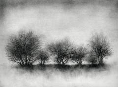 Tribe (Realist Black & White Landscape Charcoal Drawing of Trees on Horizon)