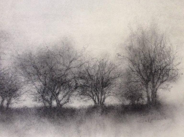 Sue Bryan - Tribe (Realist Black and White Landscape Charcoal Drawing of Trees on Horizon) at ...