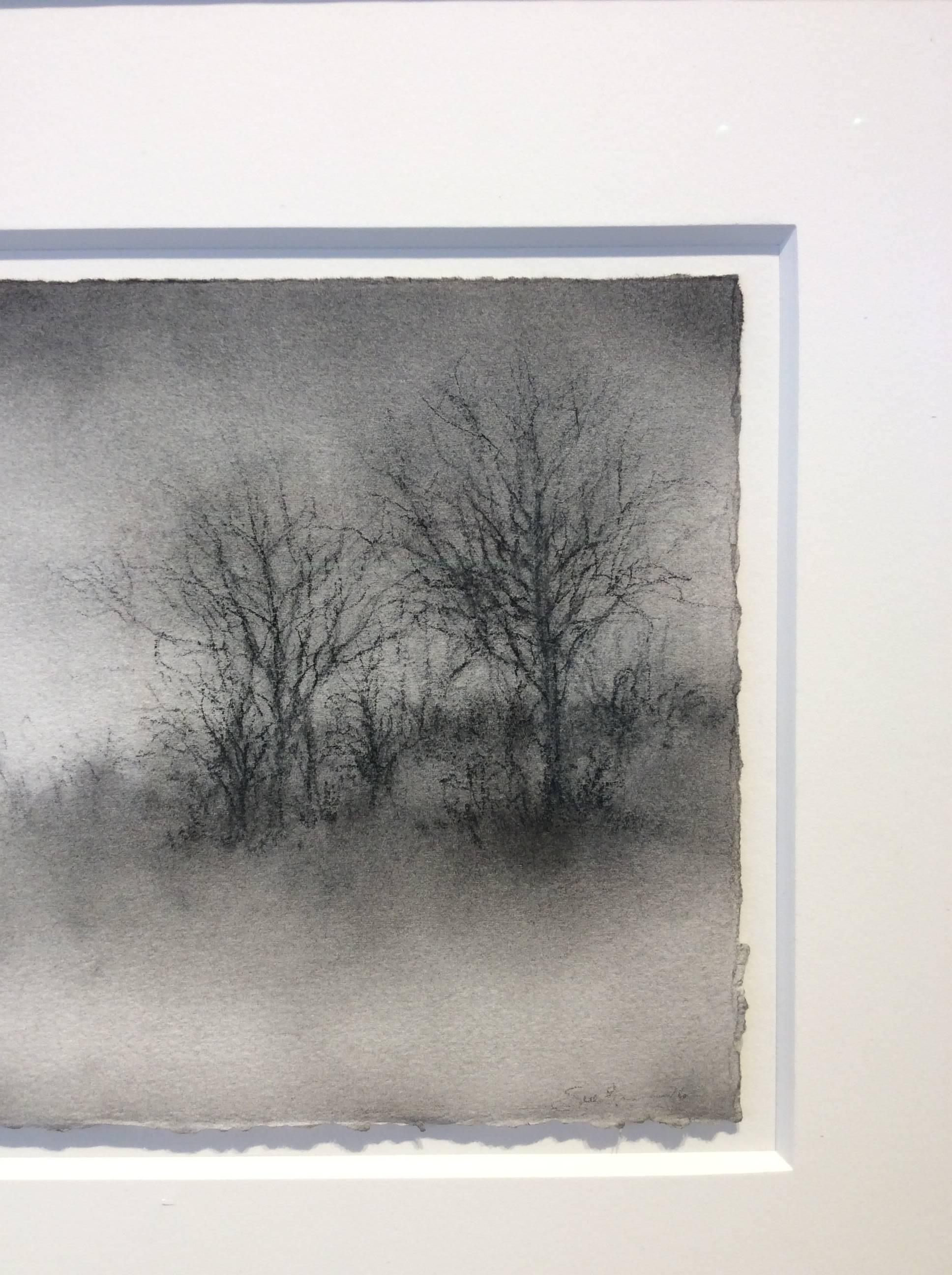 Winter Trees (Realistic, Modern Black & White Charcoal Drawing of Two Trees) - Gray Landscape Art by Sue Bryan