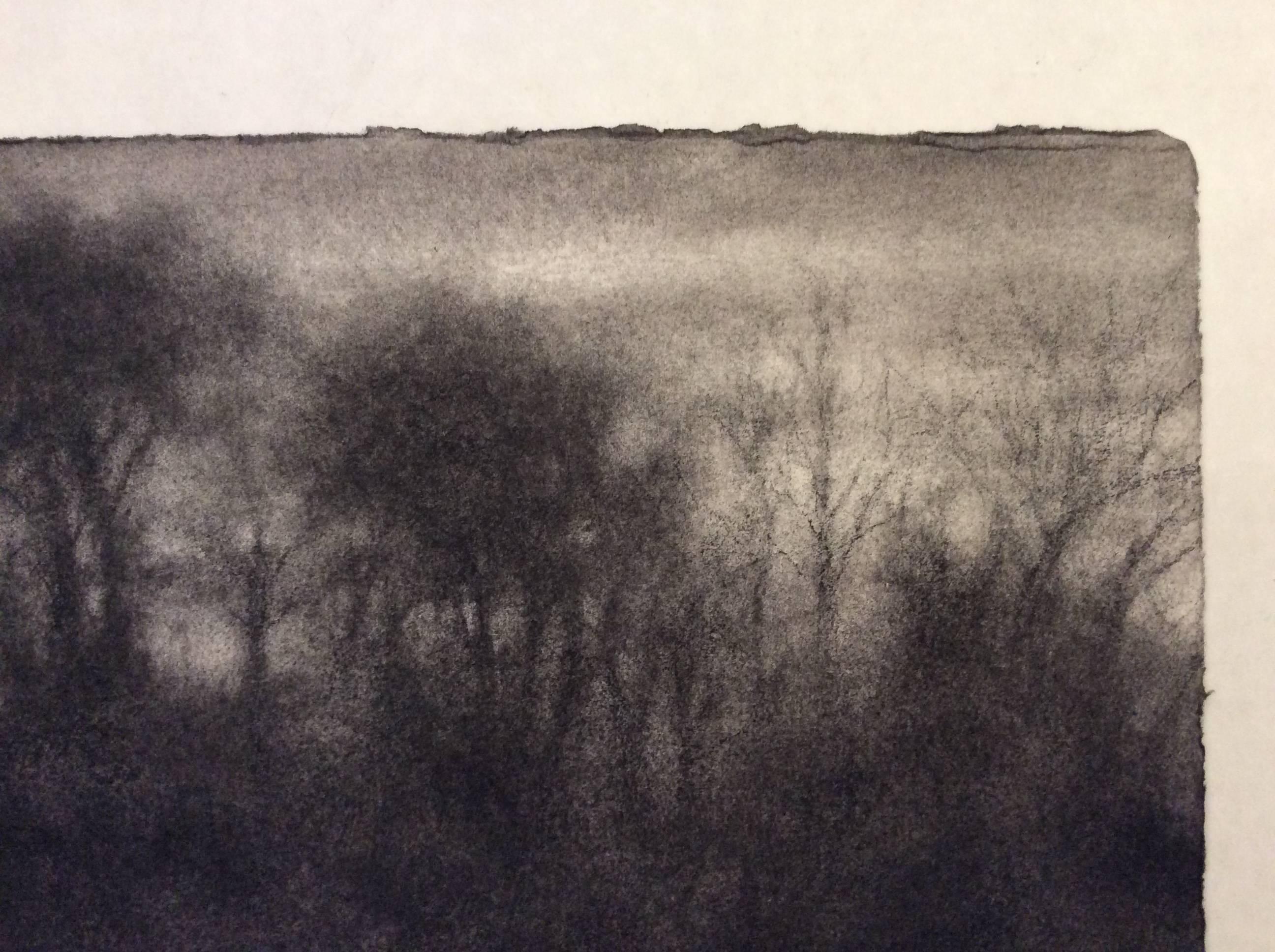 Vista invernal 1, Hudson: Dibujo a carboncillo en blanco y negro y pastel verde de un bosque - Art de Sue Bryan