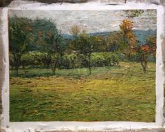 Paysage de vignes du comté de Washington n°5418 ( Paysage de campagne vert impressionniste)