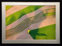 Field Corner Tree - Near Frytown, PA (Framed Aerial Photograph of Green Field)