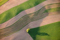 Tree d'angle - Proche de Frytown, Pennsylvanie (photographie aérienne encadrée d'un terrain vert)