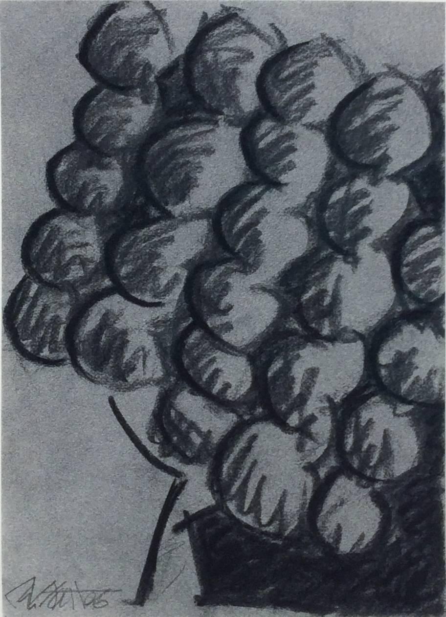 Ralph Stout Abstract Drawing - Untitled No. 26 (Modern Black & Grey Abstract Fruit Drawing in Black Frame)