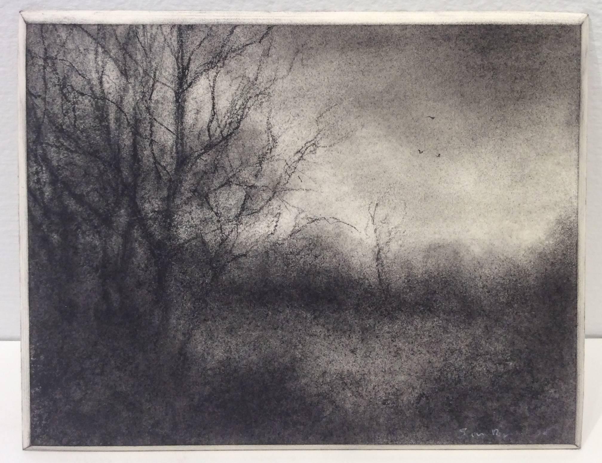 Bog Road View 3 (Modern, Realistic Black & White Drawing of Trees in Landscape) - Art by Sue Bryan