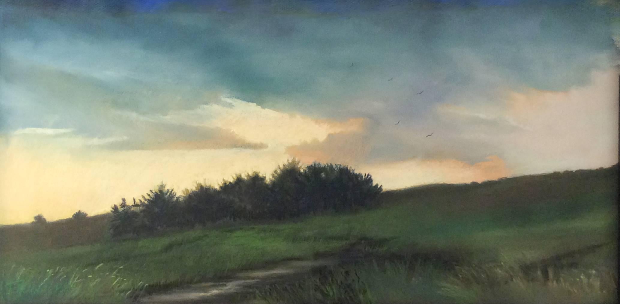 Judy Reynolds Landscape Art - Light Lifting (Pastoral Landscape Drawing of Green Country Field at Sunset)