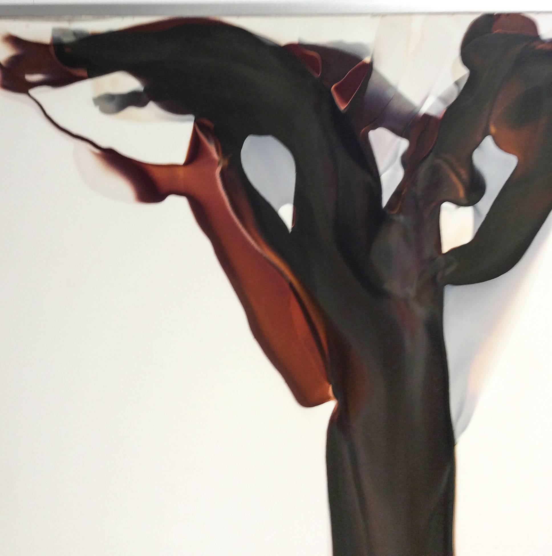 Veil No. 12 (Abstrakte fotografische Fotografie ohne Kamera mit erdfarbener Palette auf Weiß) – Painting von Birgit Blyth