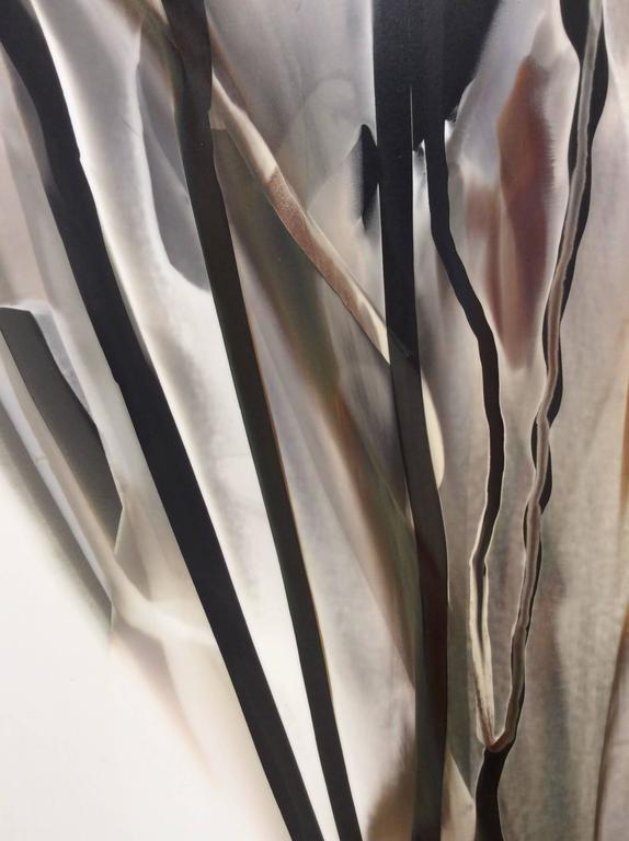 Birgit Blyth - Veil 18 (Abstract Cameraless Photograph with Neutral ...