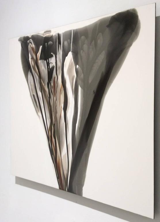 Birgit Blyth - Veil 18 (Abstract Cameraless Photograph with Neutral ...